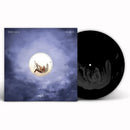 Icarus on Tony Ann artistin vinyyli LP-levy.