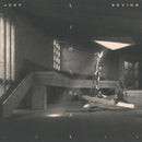 Liminal on Joep Beving artistin vinyyli LP-levy.