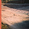 Theatre on  Anna Mieke artistin vinyyli LP-levy.