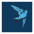 Love & Light on Tom Speight artisin vinyyli LP-levy.