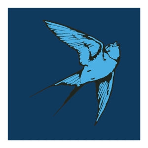 Love & Light on Tom Speight artisin vinyyli LP-levy.