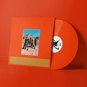 Welcome To the Mood on Leisure bändin vinyyli LP-levy.