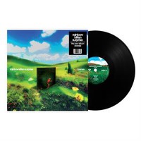 Bones on Rainbow Kitten Surprise bändin vinyyli LP-levy.