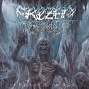 Encased In Ice on Frozen Soul bändin vinyyli 12".