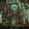 Revel In Time on Arjen Anthony Lucassen's Star One bändin vinyyli LP-levy.
