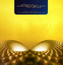Fear Inoculum on Tool bändin vinyyli LP-levy.