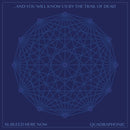 XI: Bleed Here Now on And You Will Know Us By The Trail Of Dead bändin vinyyli LP-levy.