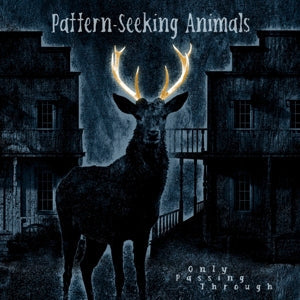 Only Passing Through on Pattern-Seeking Animals bändin vinyyli LP-levy.