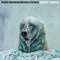 Above Cirrus on Pure Reason Revolution bändin vinyyli LP-levy.