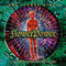 Flower Power on Flower Kings bändin vinyyli LP-levy.