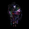 The Alchemist's Euphoria on Kasabian bändin vinyyli LP-levy.