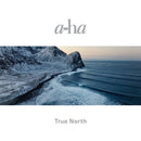 True North on A-ha bändin vinyyli LP-levy.