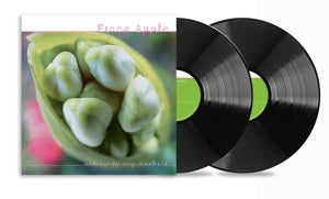Extraordinary Machine on Fiona Apple artistin vinyyli LP-levy.