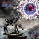 Spooky Action At A Distance on Pattern-Seeking Animals bändin vinyyli LP-levy.