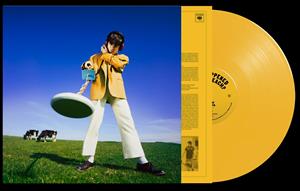 What Happened To The Beach? on Declan Mckenna artistin vinyyli LP-levy.