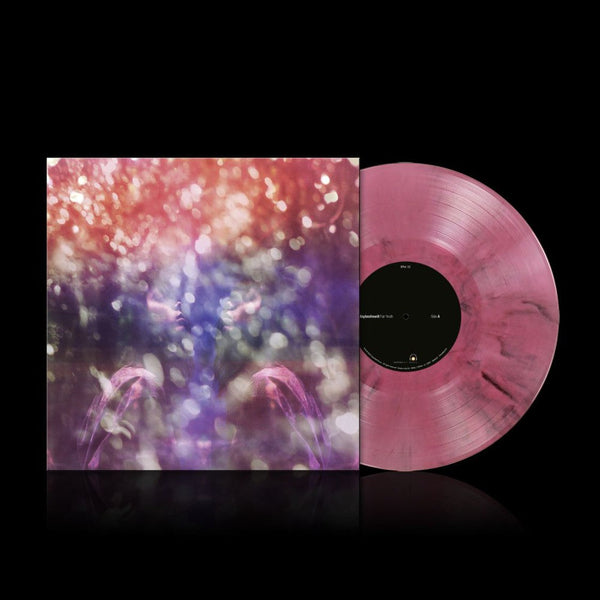 Fair Youth on Maybeshewill bändin vinyyli LP-levy.