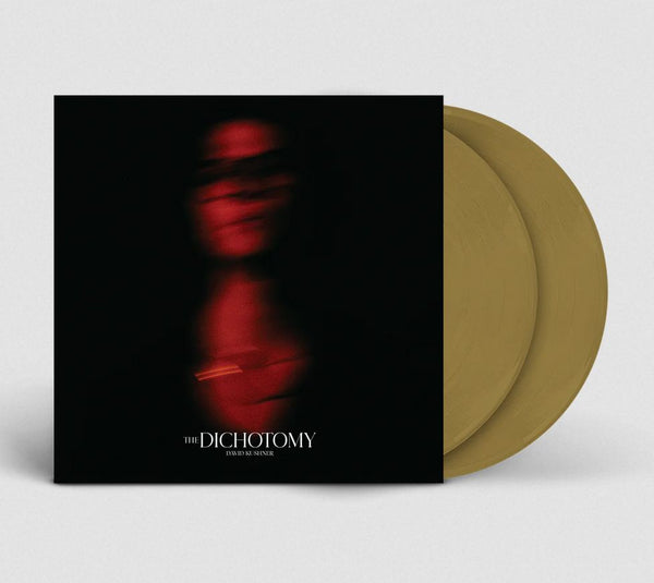 The Dichotomy on David Kushner artistin vinyyli LP-levy.