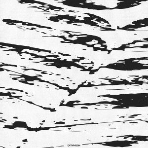 Extravision on Guy Blakeslee artistin vinyyli LP-levy.