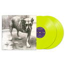 Alice In Chains on Alice In Chains bändin vinyyli LP-levy.