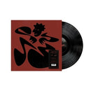 Ain't No Damn Way! on Kaytranada artistin vinyyli LP-levy.