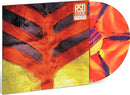 Show Your Bones on Yeah Yeah Yeahs bändin vinyyli LP-levy.