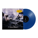 A Delicate Balance on HEADSEND bändin vinyyli LP-levy.