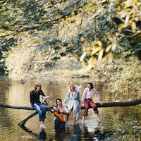 Wild Life on Paul McCartney artistin vinyyli LP-levy.