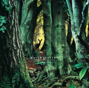 Manafon on David Sylvian artistin vinyyli LP-levy.