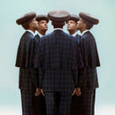 Multitudes on Stromaen artistin vinyyli LP-levy.
