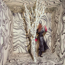 Revealer on Madison Cunningham artistin vinyyli LP-levy.