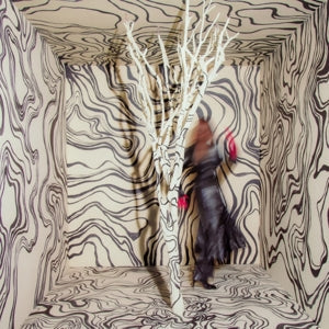 Revealer on Madison Cunningham artistin vinyyli LP-levy.