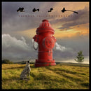 Signals on Rush bändin vinyyli LP-levy.