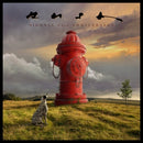 Signals on Rush bändin vinyyli LP-levy.