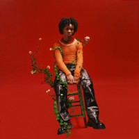 Petals To Thorns on D4vd artistin vinyyli LP-levy.