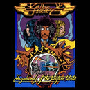 Vagabonds Of The Western World on Thin Lizzy bändin vinyyli LP-levy.