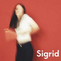 The Hype on Sigrid artistin vinyyli 12".