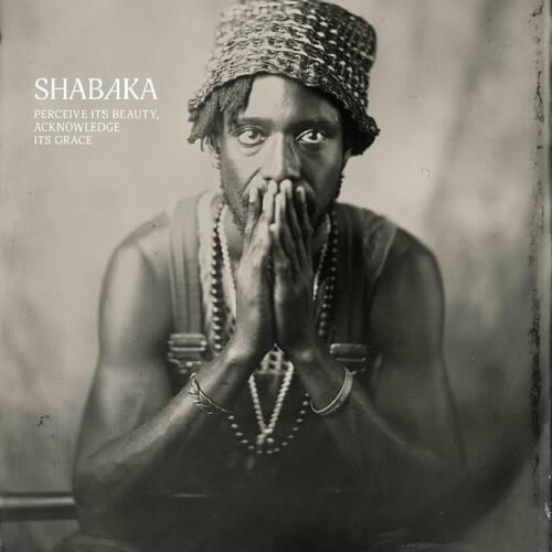 Perceive Its Beauty, Acknowledge Its Grace on Shabaka artistin vinyyli LP-levy.