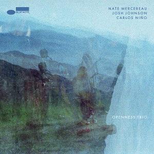 Openness Trio on Nate Mercereau, Josh Johnson, Carlos Niño artistien vinyyli LP-levy.