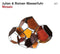 Mosaic on Julian & Roman Wasserfuhr bändin vinyyli LP-levy.