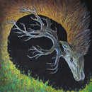 Infangthief on Petrels bändin vinyyli LP-levy.