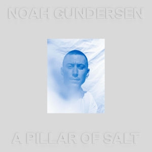  A Pillar Of Salt on Noah Gundersen artistin vinyyli LP-levy.