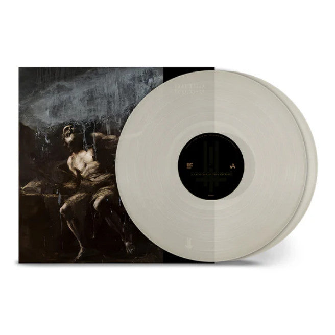 I Loved You At Your Darkest on Behemoth bändin vinyyli LP-levy.