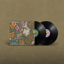 Goodtime Charlie on Mick Flannery artistin vinyyli LP-levy.