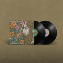 Goodtime Charlie on Mick Flannery artistin vinyyli LP-levy.