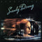 Rendezvous on Sandy Denny artistin vinyyli LP-levy.