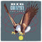 Seer on Big Country bändin vinyyli LP-elvy.