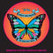 25th Anniversary Concert on Barclay James Harvest bändin vinyyli LP-levy.