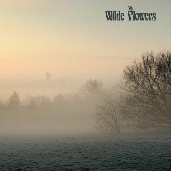 Wilde Flowers on Wilde Flowers bändin vinyyli LP-levy.