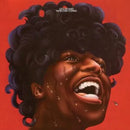 The Second Coming on Little Richard artistin vinyyli LP-levy.