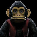 The Monkey on Edo Van Breemen artistin vinyyli LP-levy.